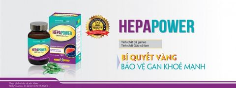 home banner