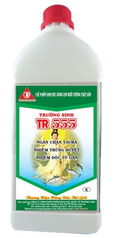 home banner
