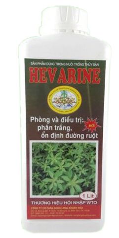 home banner