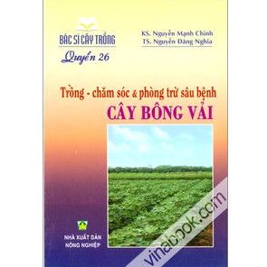 home banner