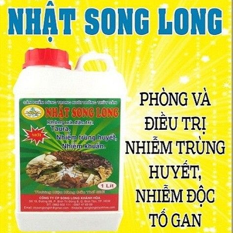 home banner