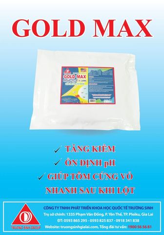 home banner