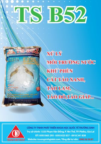 home banner