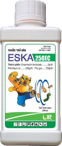 home banner