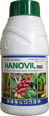 home banner