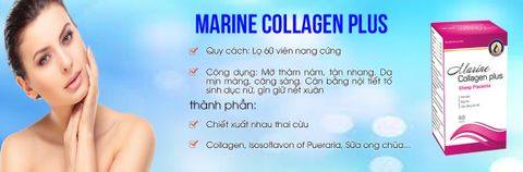 home banner