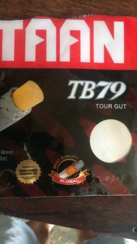 home banner