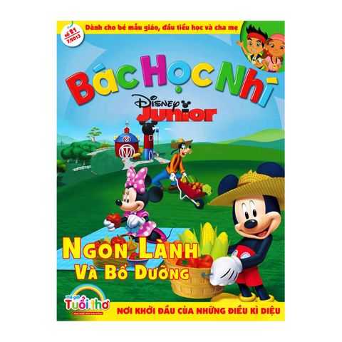 home banner