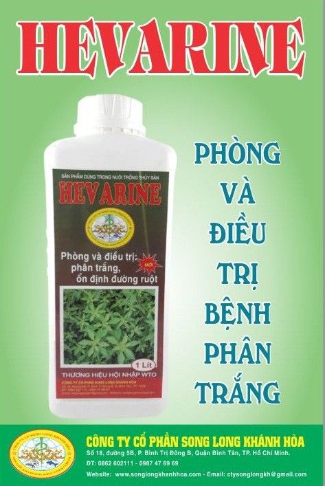 home banner