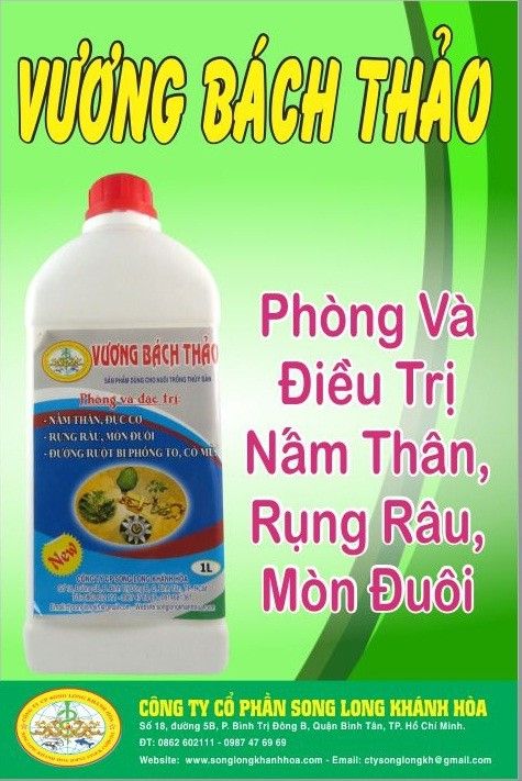 home banner
