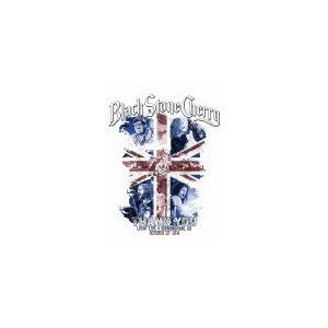 home banner